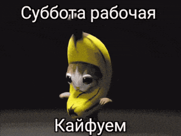 Banana Cat GIF - Banana Cat Banana Cat GIFs