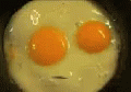 Egg GIF