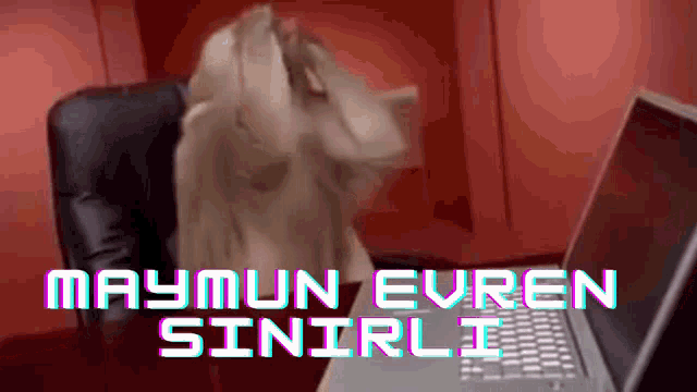 a laptop with the words maymun evren sinirli written on it