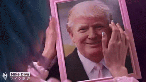 Trump Picture Wink GIF - Trump GIFs