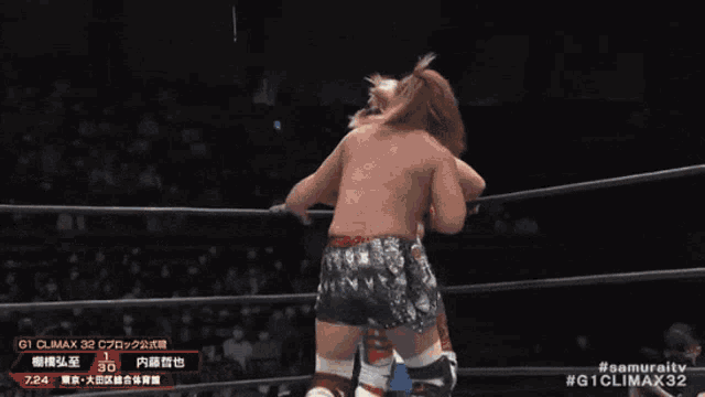 two men are wrestling in a ring with the number 30 on the bottom