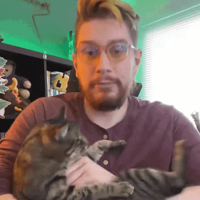 Another Cat Shawn Oriley GIF - Another Cat Shawn Oriley Shawn Games GIFs