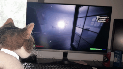 Cat Phasmophobia GIF - Cat phasmophobia - Discover & Share GIFs