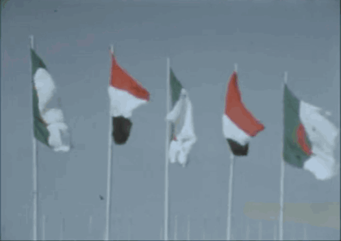 Yemen Algeria GIF - Yemen Algeria Flag GIFs