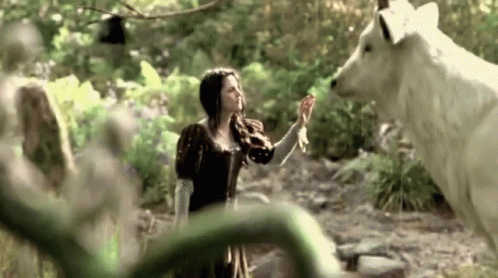 Snow White And The Huntsman Kristen Stewart GIF - Snow White And The Huntsman Kristen Stewart GIFs