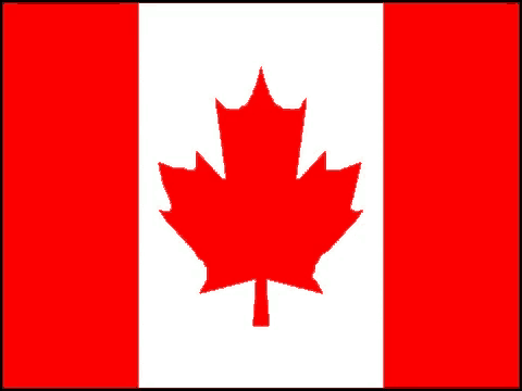 a canadian flag with the words " okay user " on it