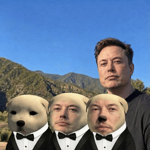 elon musk is surrounded by three dogs wearing tuxedos with bow ties