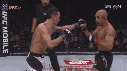 two men are fighting in a boxing ring with a budweiser sign in the background