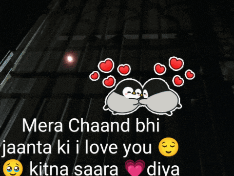 a picture of two penguins kissing with the words mera chaand bhi jaanta ki i love you kitna saara diya