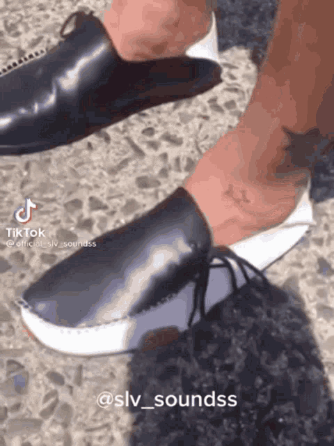 Wallet Shoe GIF - Wallet Shoe Wallet Shoe GIFs