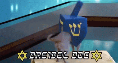 Dreidel/ Judaísmo / Cachorrinho / Jimmy Kimmel GIF - Dog Hanukkah Jimmy Kimmel GIFs