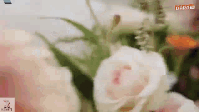 a blurred image of flowers with the word dara on the bottom