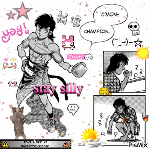 a picture of a boxer with the words stay silly written on it