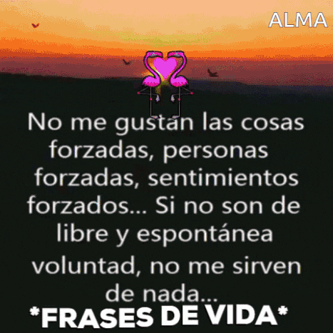 a poster with flamingos and a quote in spanish