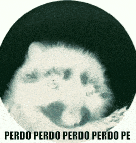 Pedro Evil GIF - Pedro Evil Raccoon GIFs