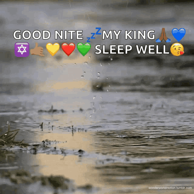 a picture of a puddle of water with the words " good nite my king sleep well "
