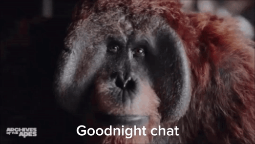 Good Night Planet Of The Apes GIF - Good Night Planet Of The Apes GIFs
