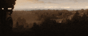 a painting of a forest with trees in the foreground