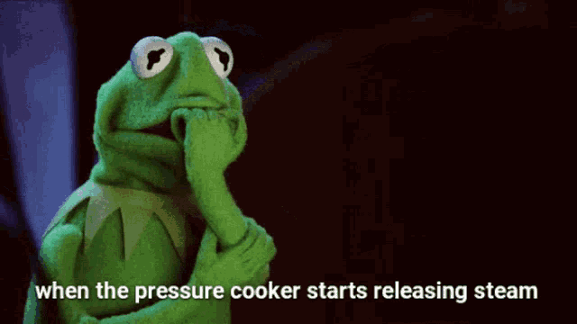 kermit the frog is thinking about when the pressure cooker starts releasing steam ..