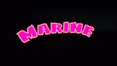 Sdjmarine Marine GIF - Sdjmarine Marine Marine Santos GIFs