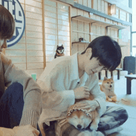 a man is petting a dog that has a bandana on its head that says ' shiba inu ' on it