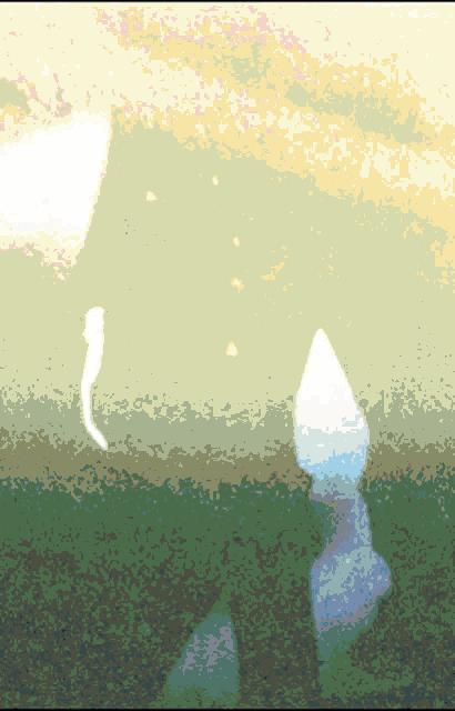 a blurred image of a person in a field