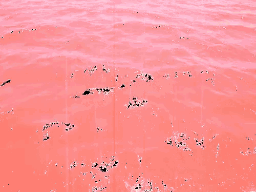 a close up of a pink water surface with black spots