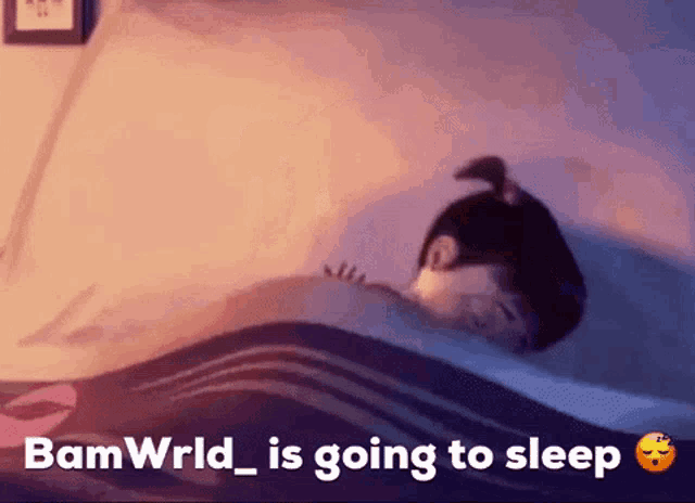 a person laying in bed with the words bamwrld_ is going to sleep