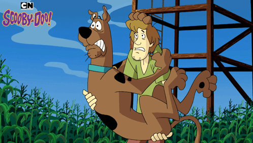 Scared Scooby-doo GIF - Scared Scooby-doo Shaggy Rogers GIFs