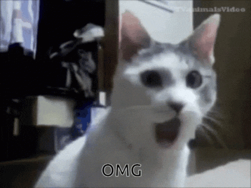 a cat with its mouth open and the word omg on the bottom right