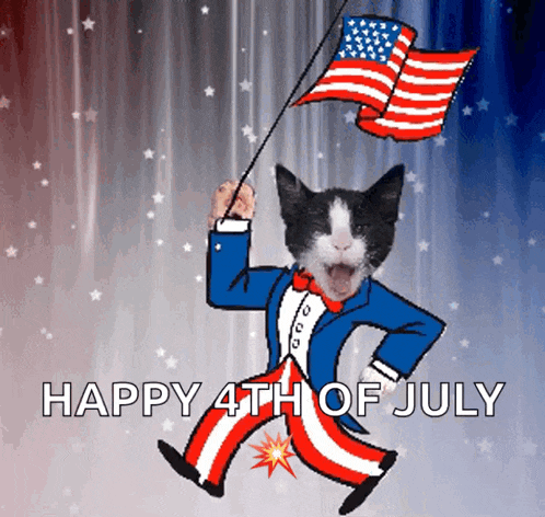 Tuxedo Cat Usa GIF - Tuxedo Cat Usa 4th Of July GIFs