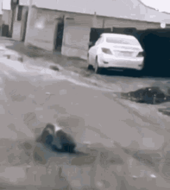 a car is parked on the side of the road next to a puddle .