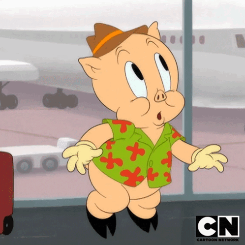 Asustado Porky GIF - Asustado Porky Looney Tunes GIFs