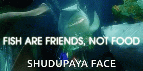 Fishy Fish Are Friends GIF - Fishy Fish Are Friends Not Food GIFs