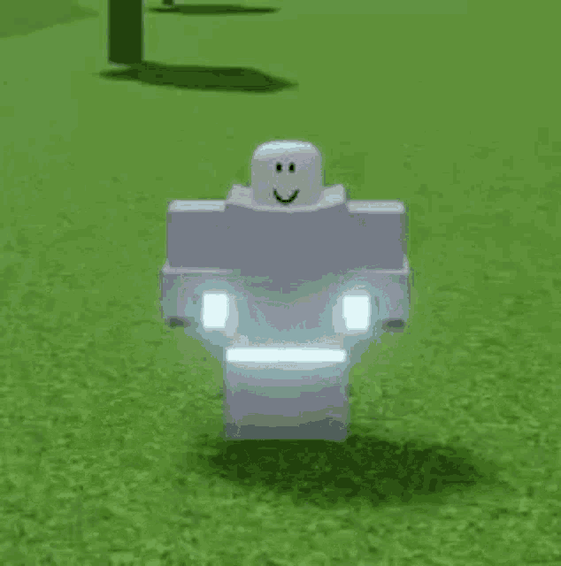a roblox character is standing on top of a lush green field with a glowing light behind him .
