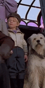 a little boy standing next to a dog wearing a hat
