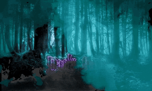 Dark Time Forest GIF - Dark Time Forest Smoke GIFs