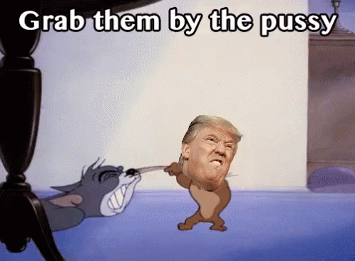 Grab Them By The Pussy GIF - Pussy Donald Trump GIFs