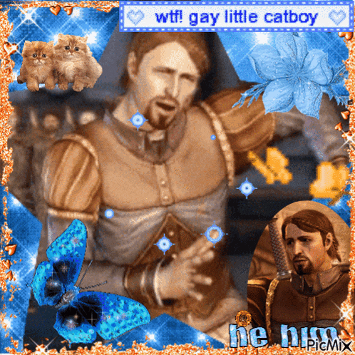a picture of a man with the words wtf gay little catboy on it
