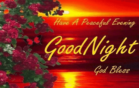 a good night card with a sunset and flowers on it