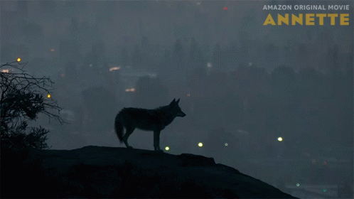 Howling Annette GIF - Howling Annette Wolf GIFs
