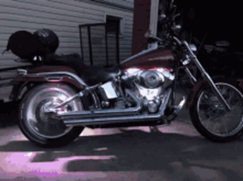 Biker Harley Davidson GIF - Biker Harley Davidson Bike GIFs
