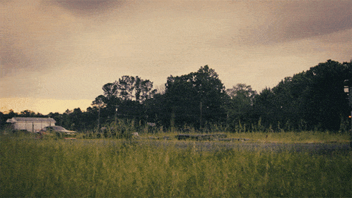 a grassy field with trees in the background and a cloudy sky