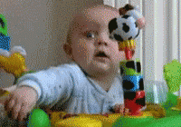 Shocked Scared GIF - Shocked Scared Wtf GIFs