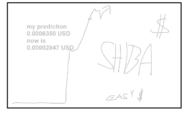 a drawing of a graph that says my prediction 0.0006350 usd now is 0.00002847 usd shiba easy
