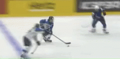 Finland Hockey GIF - Finland Hockey Goal GIFs
