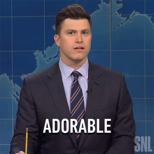 Adorable Saturday Night Live GIF - Adorable Saturday Night Live Weekend Update GIFs