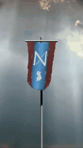 a blue flag with the letter z on it