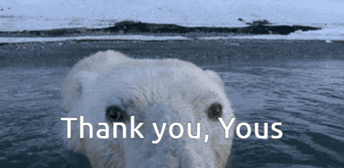 a polar bear is swimming in the water with the words thank you yous above it