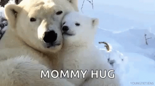 Happymothersday Polarbears GIF - Happymothersday Polarbears Hug GIFs